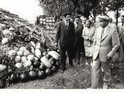 Aspect din timpul vizitei de lucru la C.A.P. Băileşti, judeţul Dolj, pe care au efectuat-o preşedintele Nicolae Ceauşescu şi Elena Ceauşescu la 10 august 1979.(10.VIII.1979).