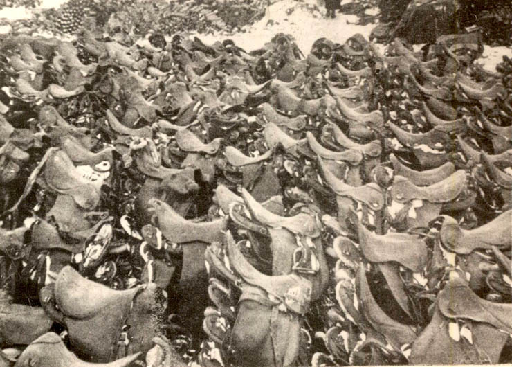 Foametea îngrozitoare a făcut ca o întreagă divizie de cavalerie românească să rămână fără cai: nu au mai rămas decât şeile -1942-1943. (1942-1943)